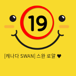 [캐나다 SWAN] 스완 로얄 ♥