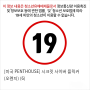 [미국 PENTHOUSE] 시크릿 사이버 플릭커 (오렌지) (6)