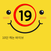 10단 캐논 바이브