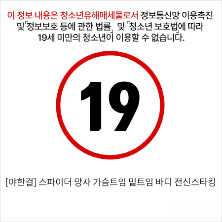 [야한걸] 스파이더 망사 가슴트임 밑트임 바디 전신스타킹